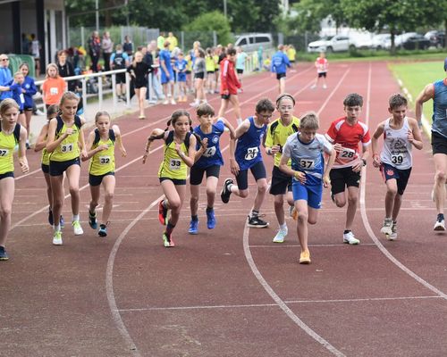 18. und 25. Juni: 58. und 59. Läuferabend im Stadion Calw-Stammheim 5 Mittelstrecken auf der neuen Stammheimer Bahn 