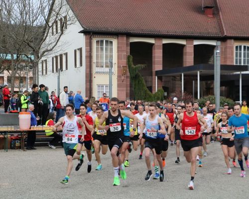 12. Bad Liebenzeller Firmenlauf: Trotz Wochenendtermin  104 Läufer und 11 Walker im Ziel – Clara Weisser und Andreas Michaelis überlegene Sieger