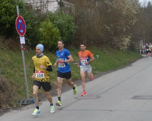 Lokalmatador Fabian Pfitzner siegt beim 24. Calwer Hesselauf Hannah Arndt bei den Frauen dominierend 307 Teilnehmer im Hauptlauf im Ziel