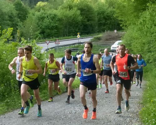 28. Doma-Berglauf in Calw Stammheim: Der älteste Berglauf im Kreis startet am 6. Mai - Voranmeldung dringend erbeten