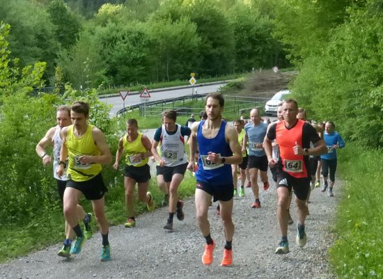 28. Doma-Berglauf in Calw Stammheim: Der älteste Berglauf im Kreis startet am 6. Mai - Voranmeldung dringend erbeten