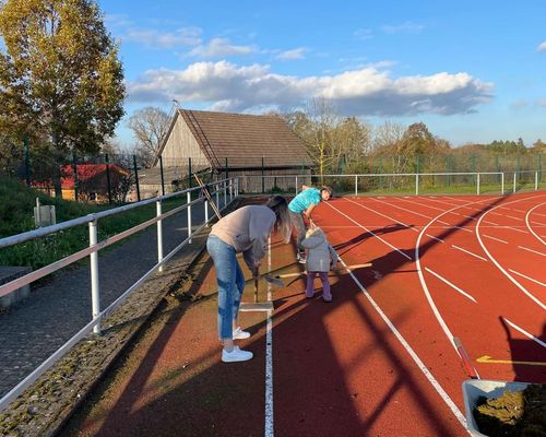 Moosbeseitigungsaktion im Stadion des TSV Haiterbach